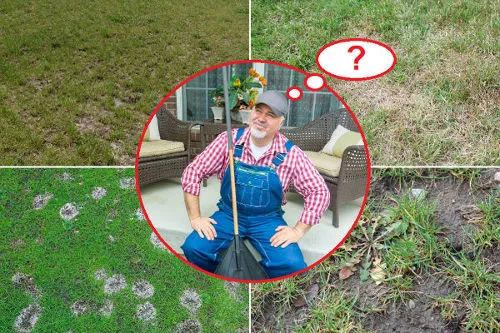 Jak uzupełnić dziury w trawniku