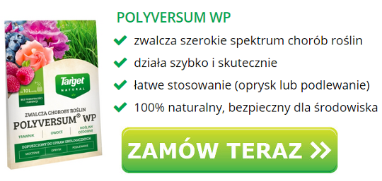 Polywersum WP 5 g